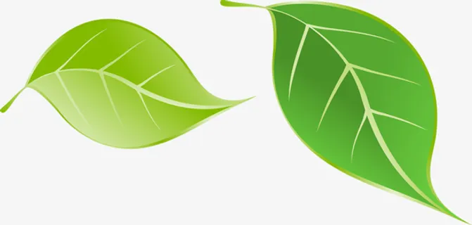 绿色手绘叶子免抠