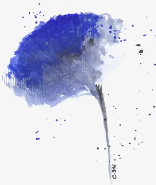 清新淡雅蓝色小花免抠