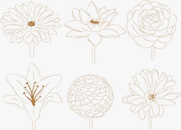 水彩画菊花矢量图免抠