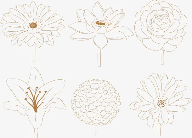 水彩画菊花矢量图免抠