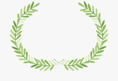 手绘叶子边框免抠 手绘叶子边框免抠