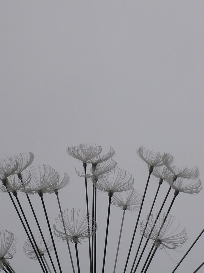 花纹 背景 质感 纹理高清