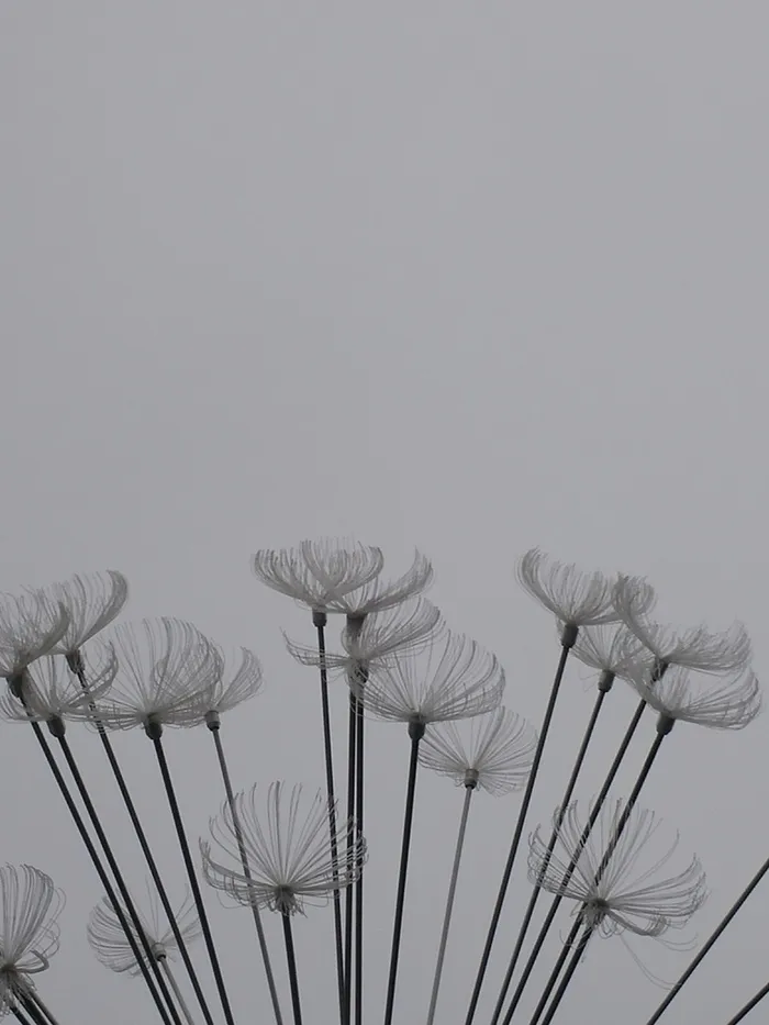 花纹 背景 质感 纹理高清