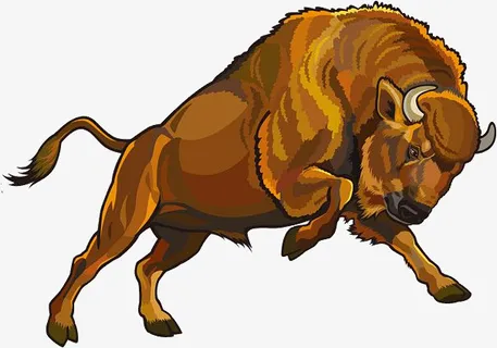 牛 野外 动物 牛图片 牛素材免抠