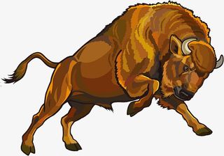 牛 野外 动物 牛图片 牛素材免抠