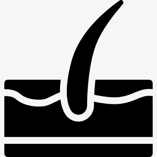 一个头发图标免抠