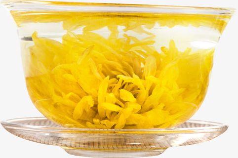 泡开的金丝皇菊素材图片免抠