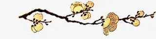 黄色花朵树枝树干高清矢量免抠图片免抠