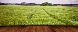 绿色草原木板背景高清