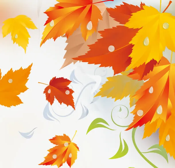 飘落的枫叶免抠
