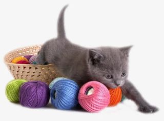 猫咪与毛线免抠