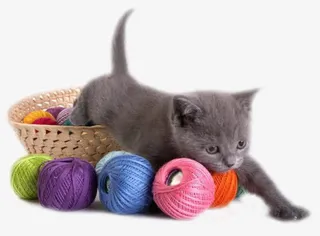 猫咪与毛线免抠