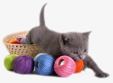 猫咪与毛线免抠 猫咪与毛线免抠