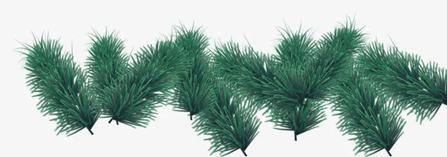 圣诞节松树枝免抠素材免抠