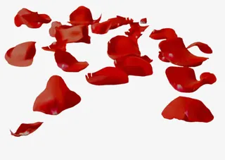 玫瑰花瓣漂浮png素材免抠