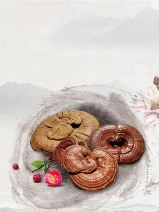 中国风水墨养生补品灵芝促销海报背景素材高清