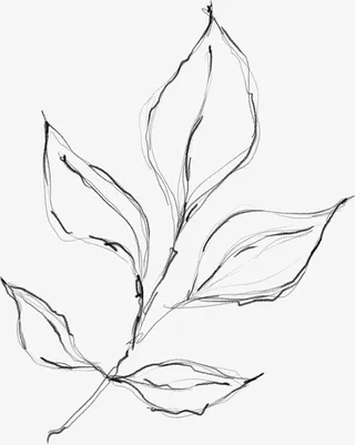 水墨植物元素20免抠