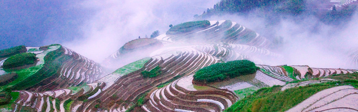 梯田风景高清