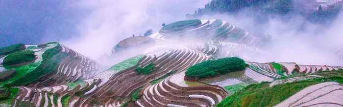 梯田风景高清