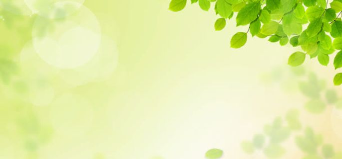 小清新春天绿叶背景免抠背景banner海报元素