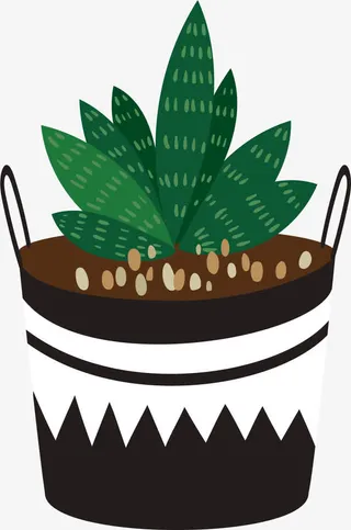 盆栽多肉PNG下载免抠