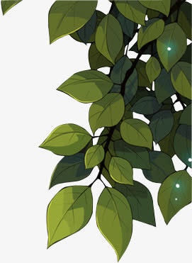 卡通绿叶植物免抠