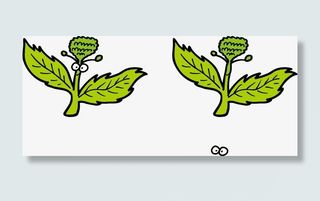 手绘油叶子免抠