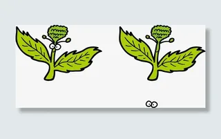 手绘油叶子免抠