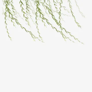 随风飘动的柳叶免抠