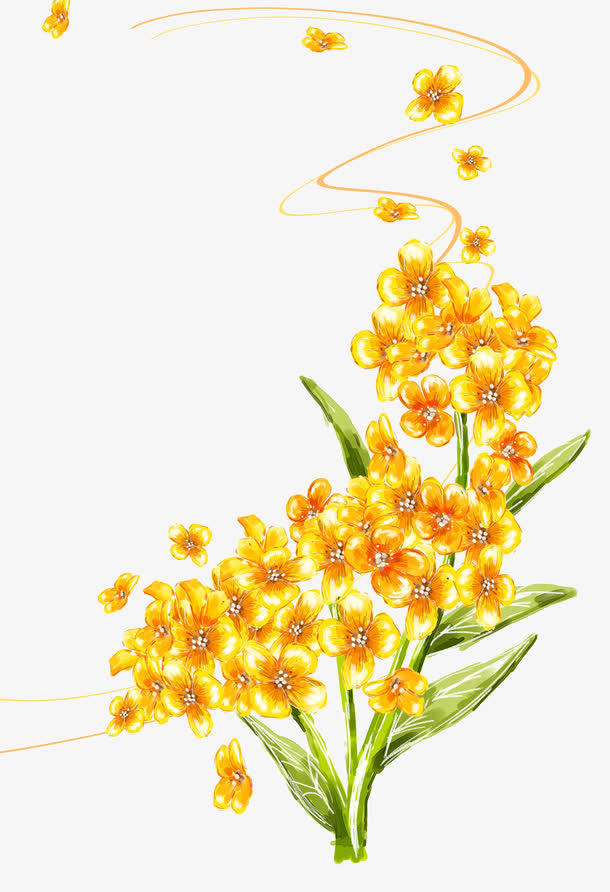 手绘花朵免抠