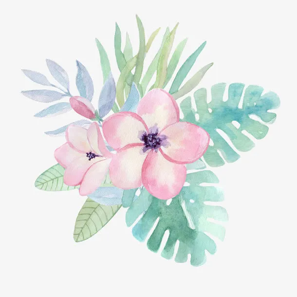 鲜花绿叶免抠
