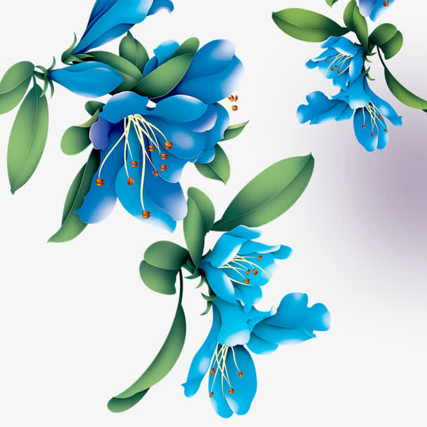 花朵免抠