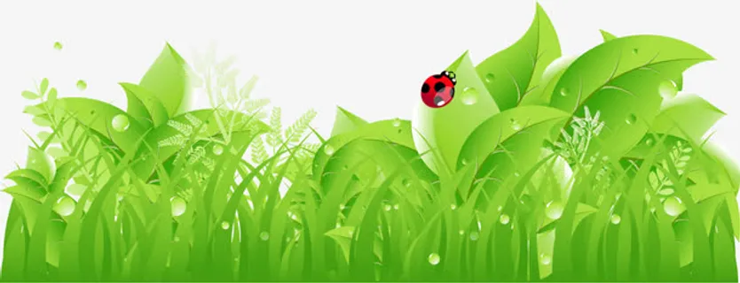 矢量草丛叶子和七星瓢虫免抠