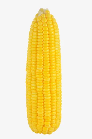 实物没叶子的熟玉米免抠