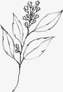 水墨花朵元素26免抠