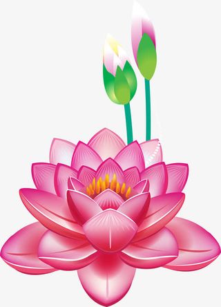 手绘红色花朵免抠