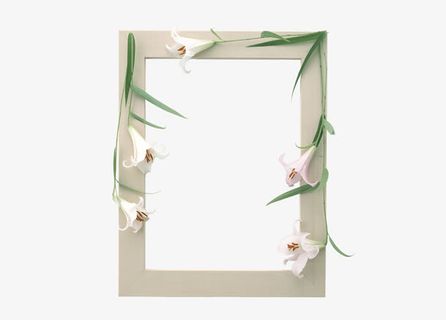 花卉边框免抠