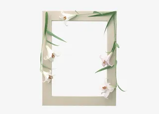 花卉边框免抠