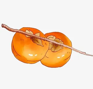 手绘柿子免抠