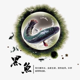 黑鱼美食海报psd免抠