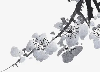 国画梅花免抠