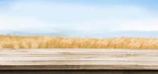 秋天麦田里的木板图片高清