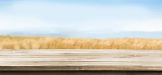 秋天麦田里的木板图片高清