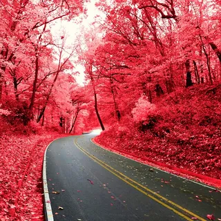 简约风景背景图高清