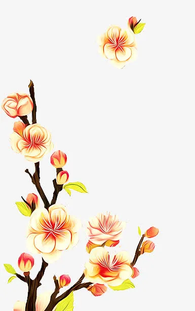 梅花免抠