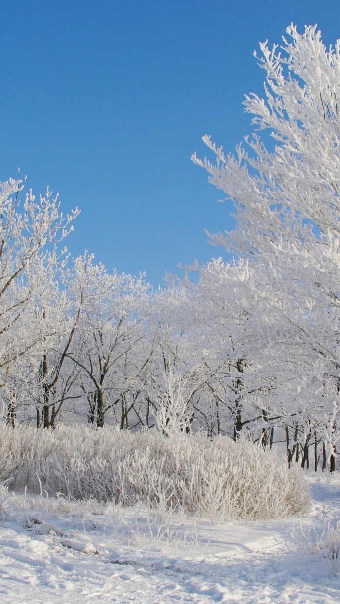 冰天雪地手机美景H5背景高清