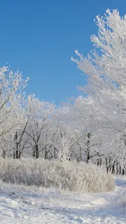 冰天雪地手机美景H5背景高清 冰天雪地手机美景H5背景高清