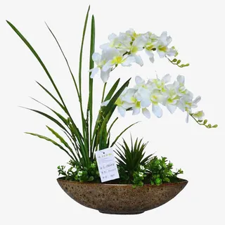 小苍兰盆栽免抠