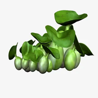 水葫芦免抠 水葫芦免抠