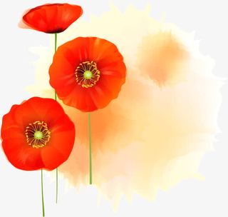 红色花底纹免抠